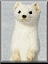 Benutzeravatar